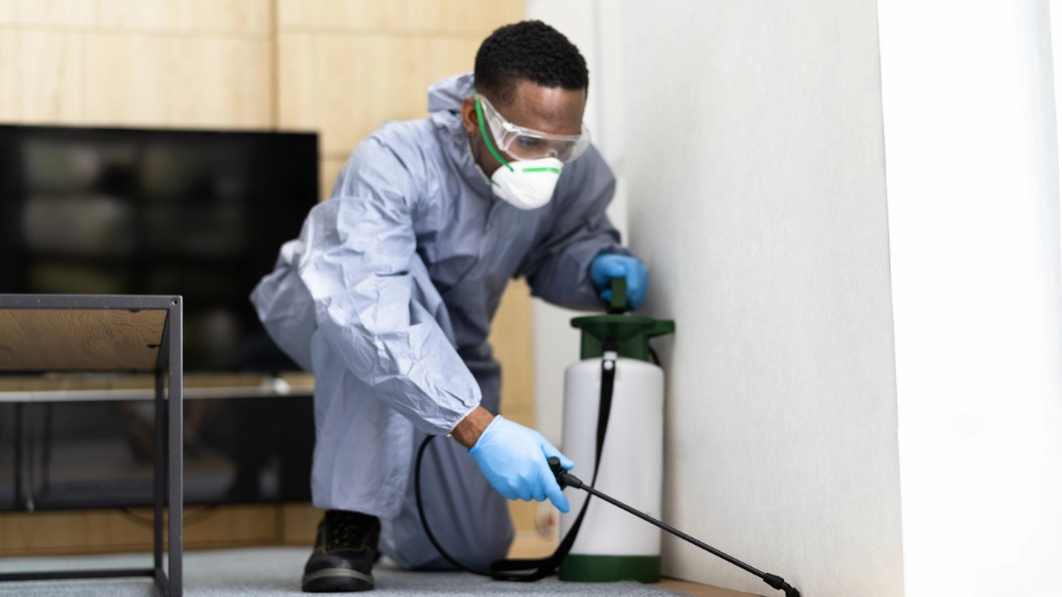 Technician applying pest control spray along indoor walls, ensuring effective treatment for household pest prevention.