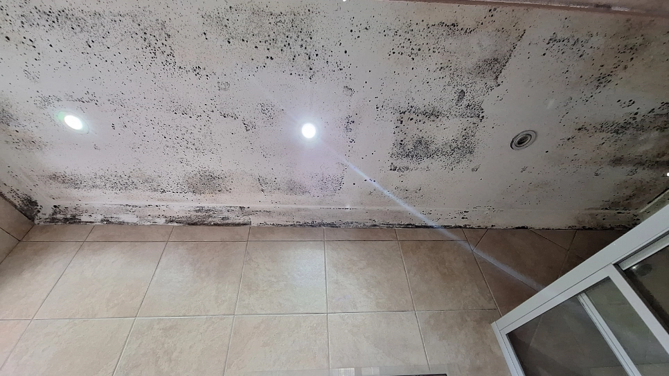 Extensive black mold growth on bathroom ceiling and upper walls, indicating moisture issues and potential health risks.