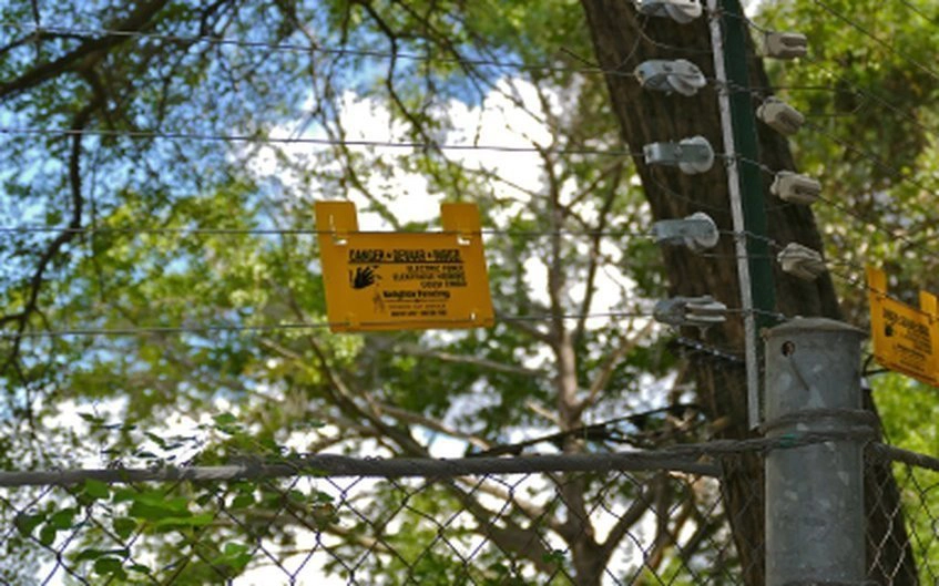 electric fence